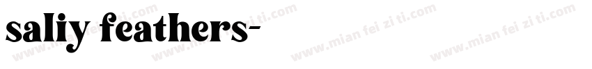 saliy feathers字体转换